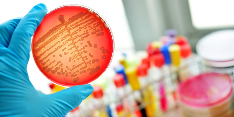 Rheumatisches Fieber